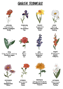Las flores natales en la MUJER: Todo lo que necesitas saber